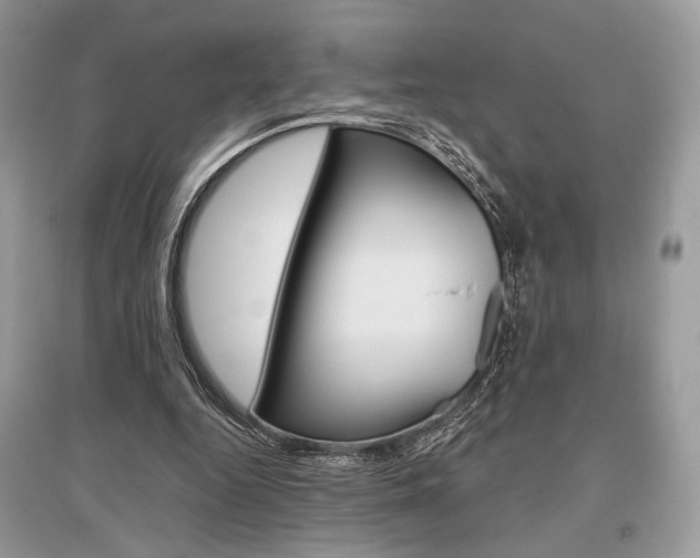 X0000096480344200801241152