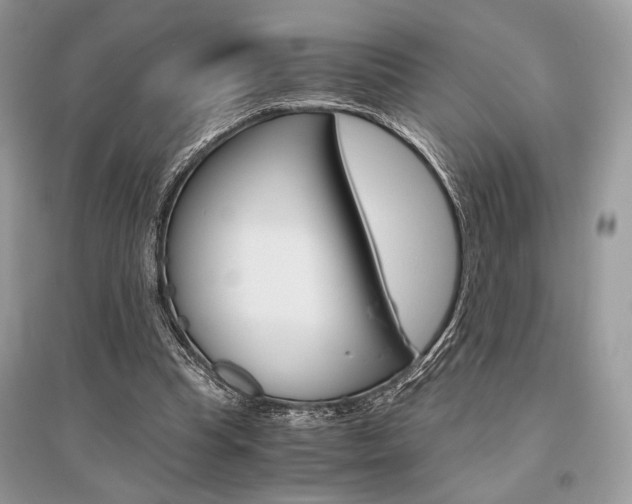 X0000096480345200801241152