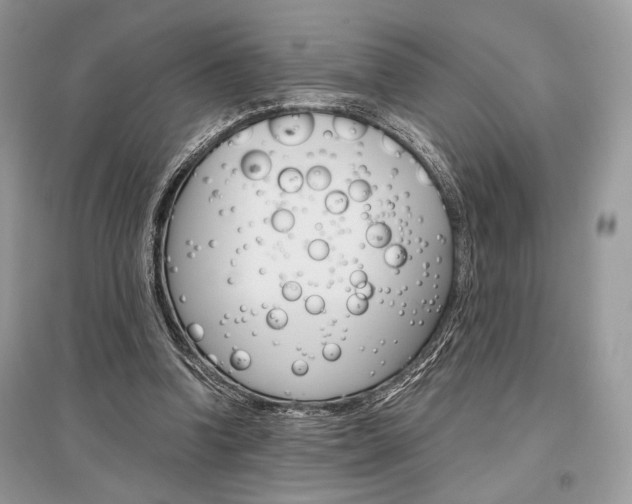 X0000096480346200801241152