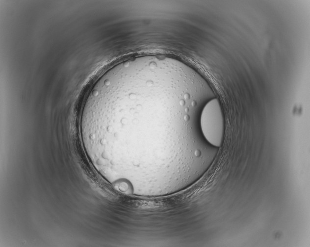 X0000096480347200801241152