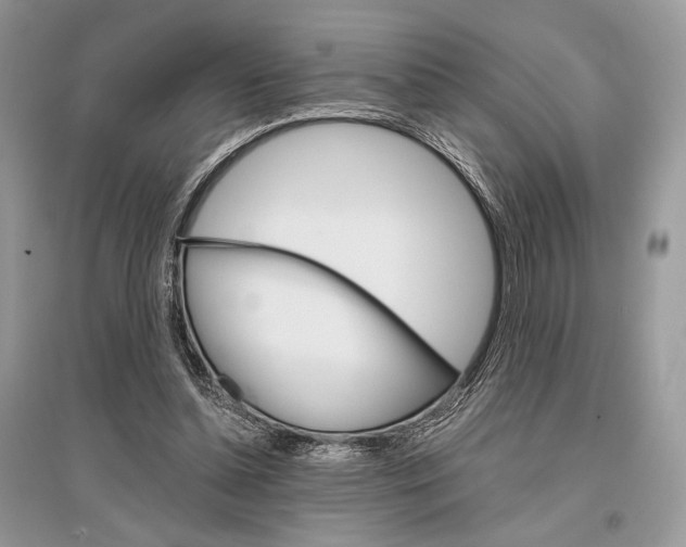 X0000096480348200801241152