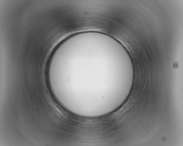 X0000096480350200801241152