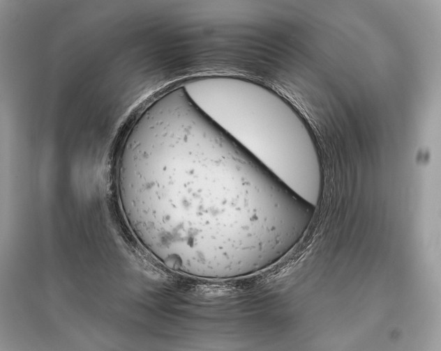 X0000096480351200801241152