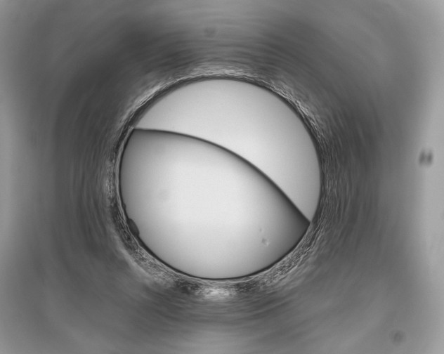 X0000096480352200801241152