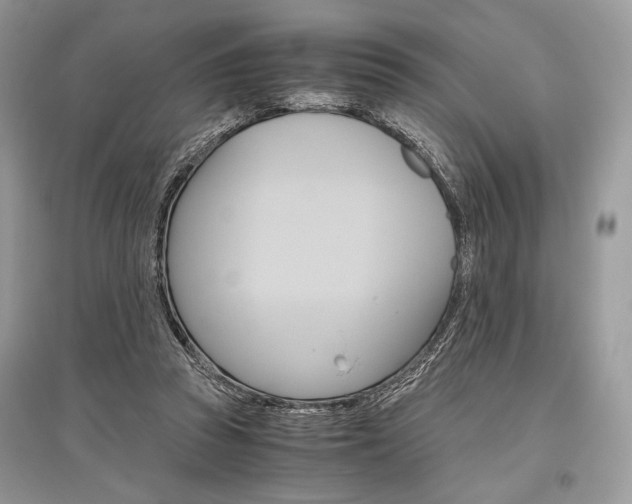 X0000096480353200801241152