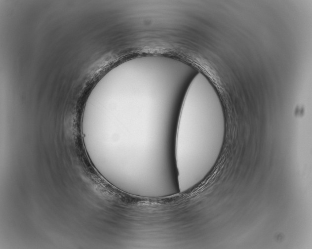 X0000096480354200801241152
