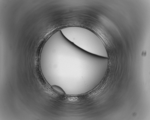 X0000096480355200801241152