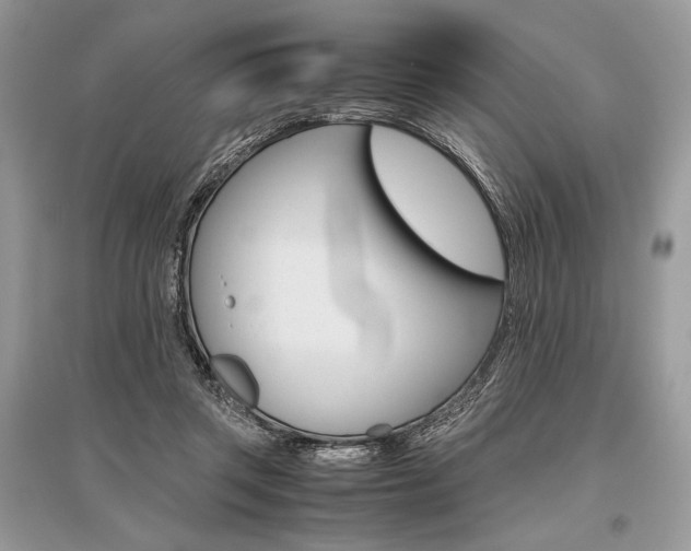 X0000096480357200801241152