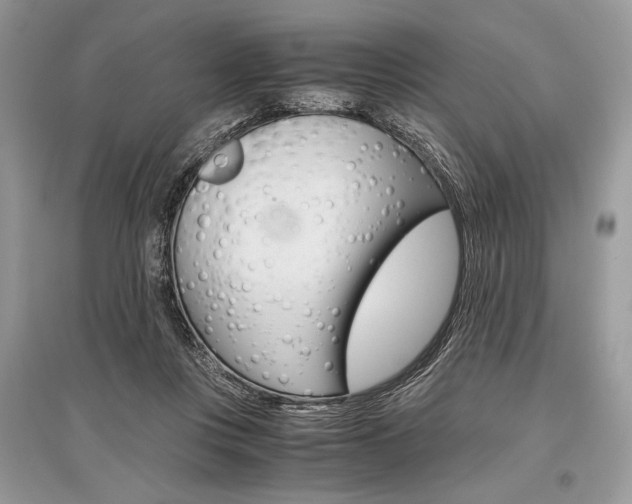 X0000096480359200801241152
