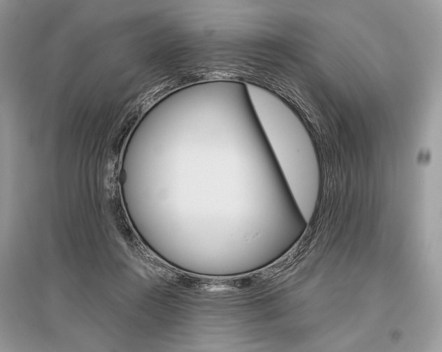 X0000096480360200801241152