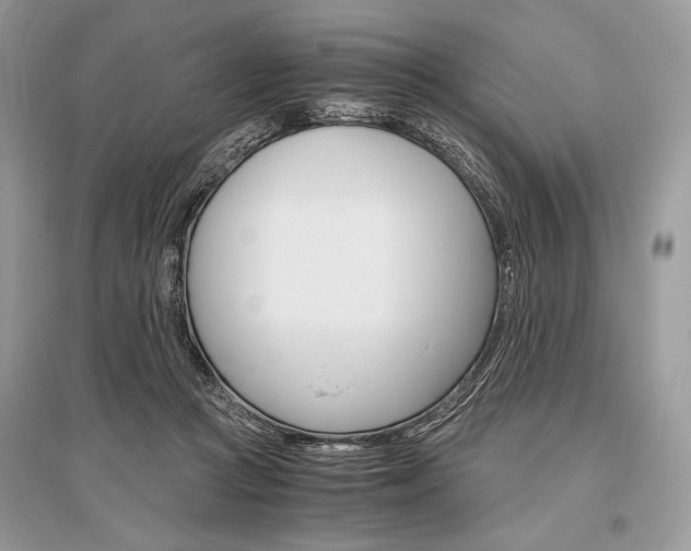 X0000096480361200801241152