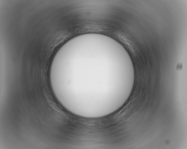 X0000096480362200801241152