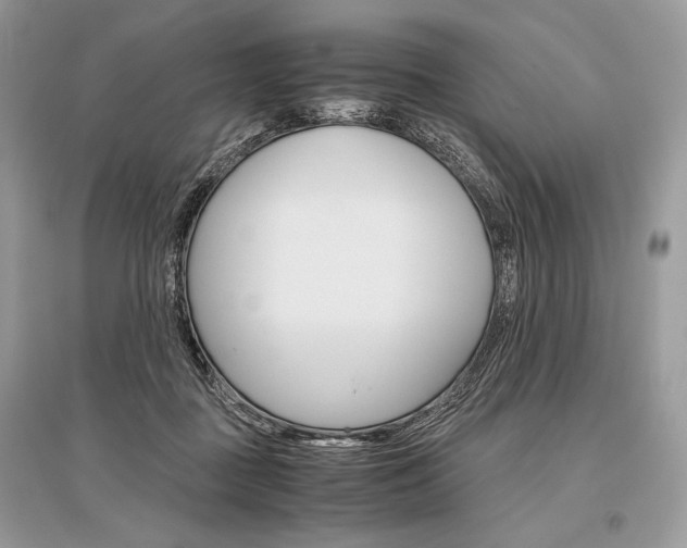 X0000096480363200801241152