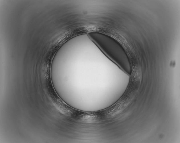 X0000096480364200801241152