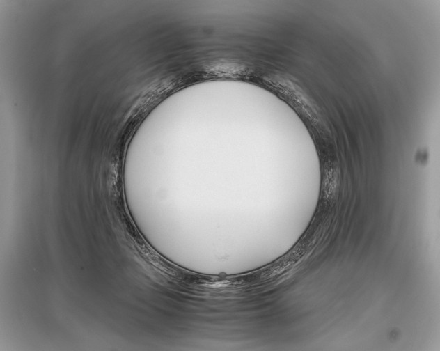 X0000096480365200801241152