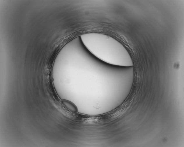 X0000096480366200801241152