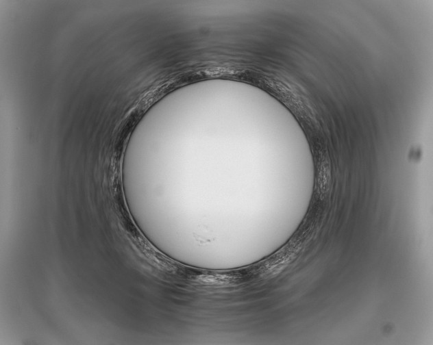X0000096480367200801241152