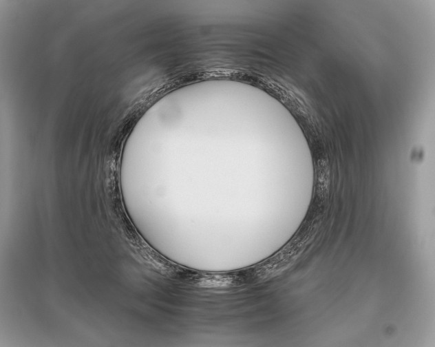 X0000096480369200801241152