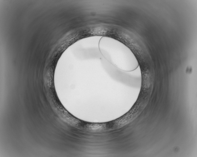 X0000096480370200801241152