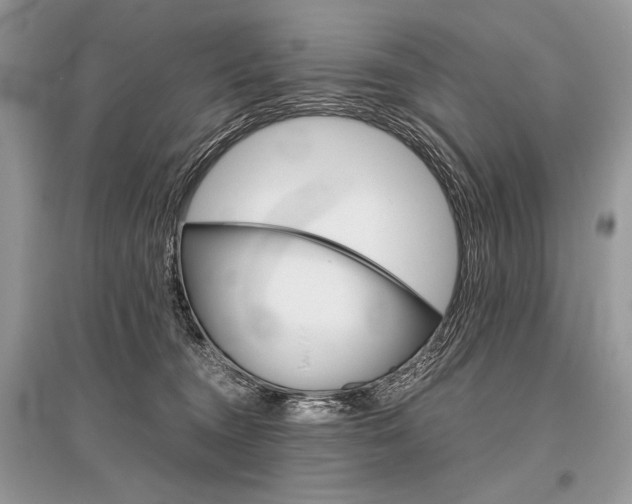 X0000096480372200801241152
