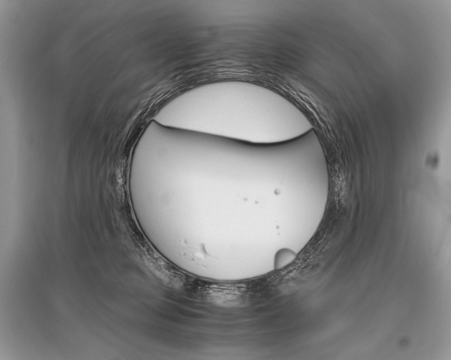 X0000096480373200801241152