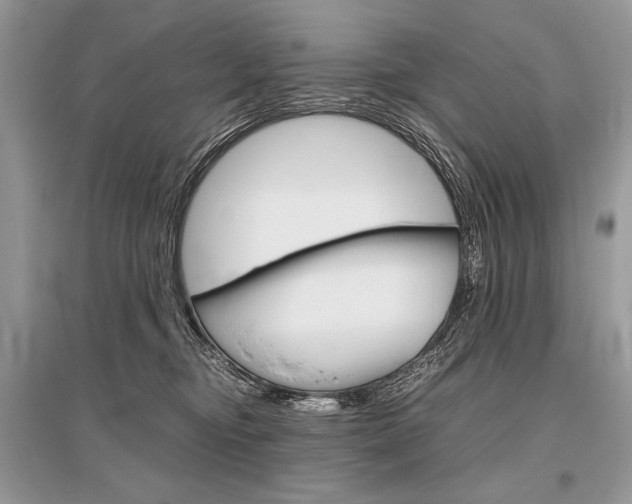 X0000096480374200801241152