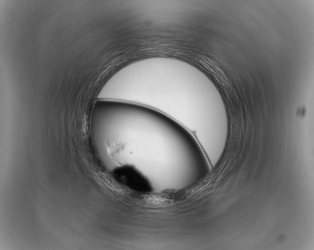 X0000096480380200801241152