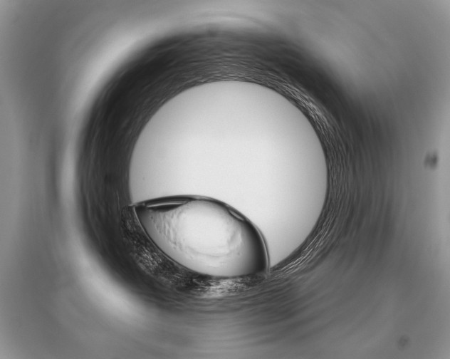 X0000096480382200801241153