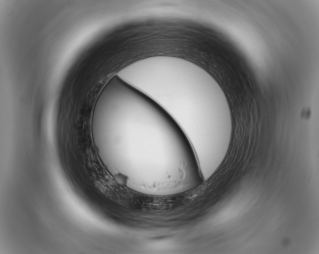 X0000096480383200801241153