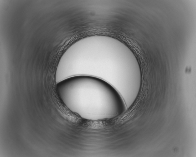 X0000096480384200801241153