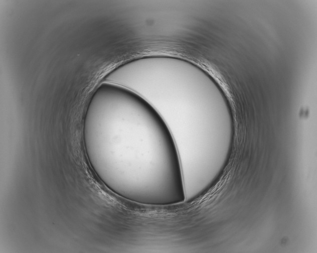 X0000096480385200801241152