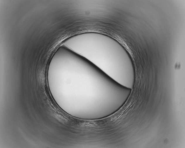 X0000096480386200801241152
