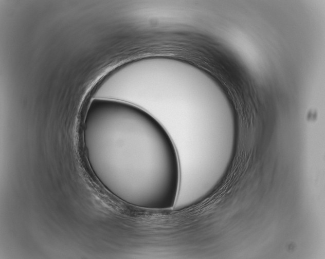 X0000096480387200801241152