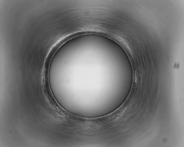 X0000096480388200801241152