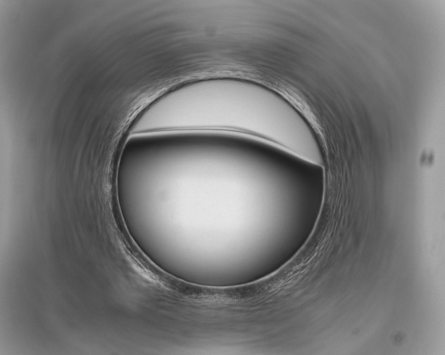 X0000096480389200801241152