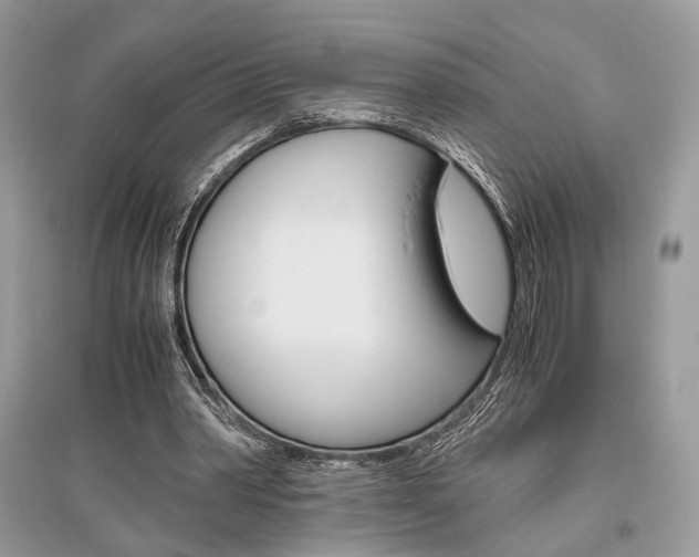 X0000096480390200801241152