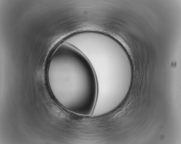 X0000096480391200801241152