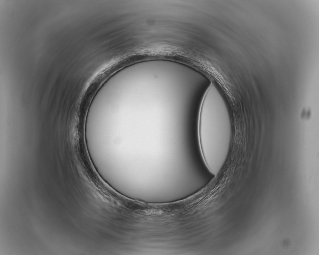 X0000096480392200801241152
