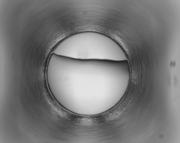 X0000096480394200801241152