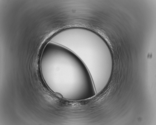 X0000096480395200801241152