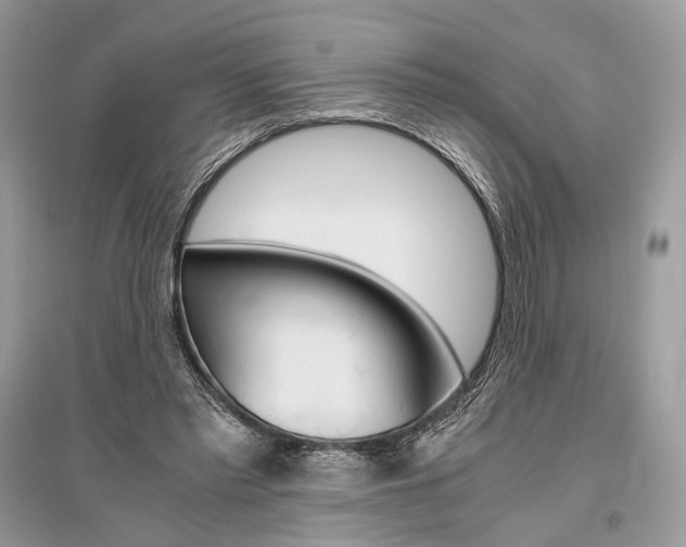 X0000096480397200801241152