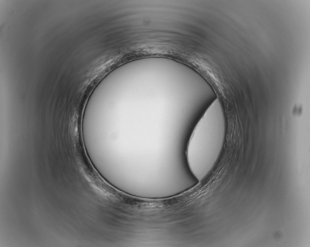 X0000096480398200801241152
