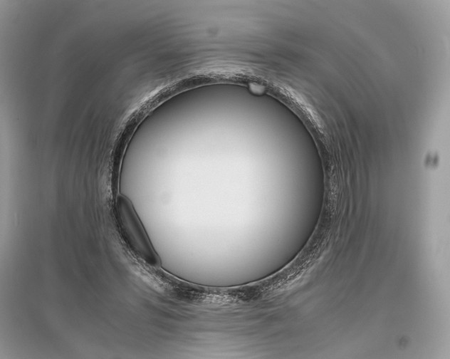 X0000096480399200801241152