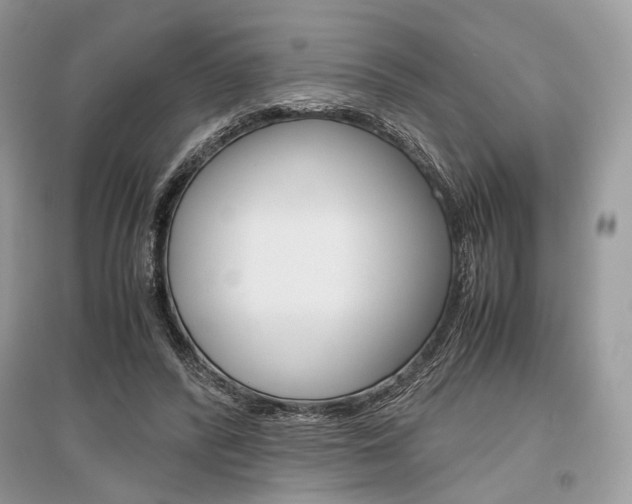X0000096480400200801241152