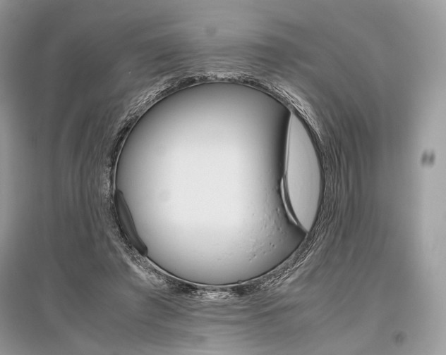 X0000096480401200801241151