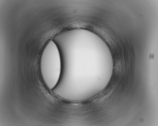 X0000096480402200801241151