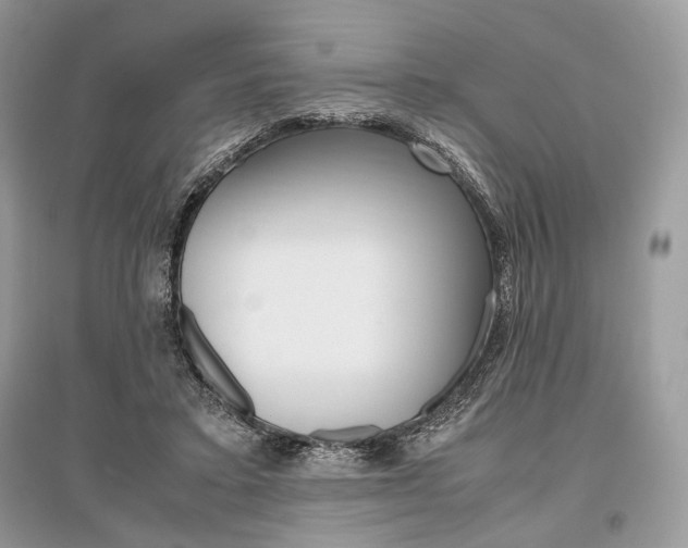 X0000096480403200801241151