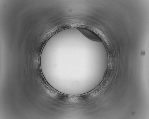 X0000096480405200801241151