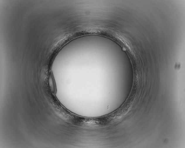 X0000096480407200801241151