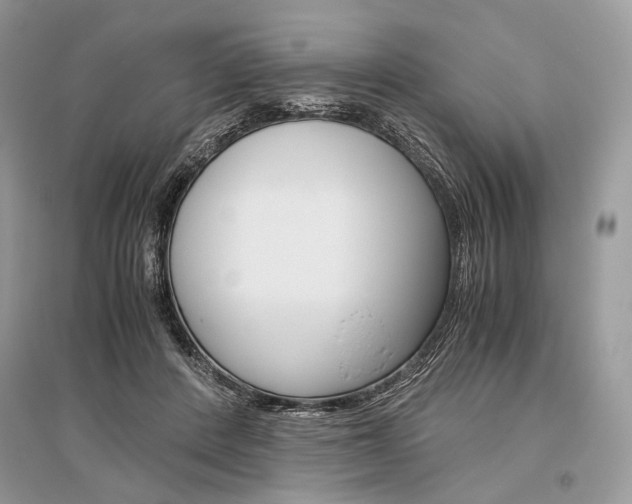 X0000096480408200801241151